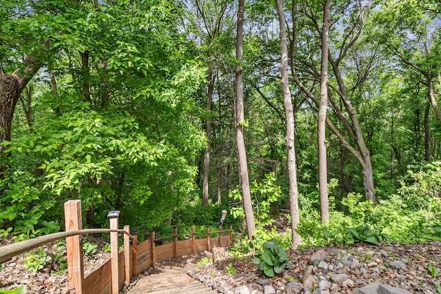 216 Crestview Cir, Jordan, MN 55352 - view of yard