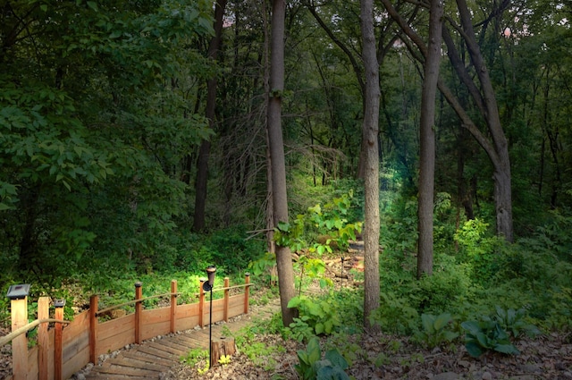 216 Crestview Cir, Jordan, MN 55352 - view of yard with a forest view