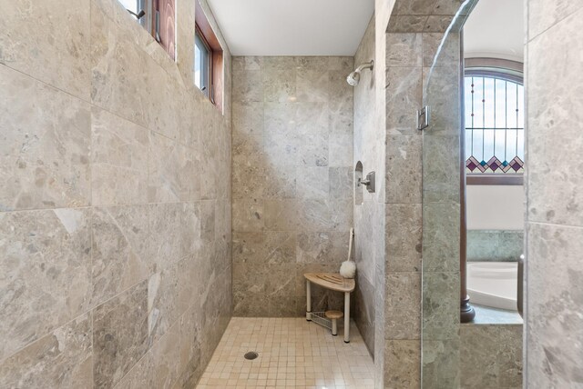 1595 River Shore Dr, Hastings, MN 55033 - bathroom featuring tiled shower