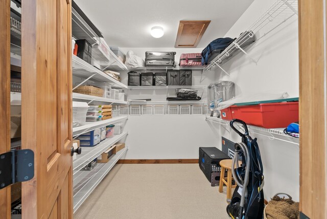 1595 River Shore Dr, Hastings, MN 55033 - view of storage room