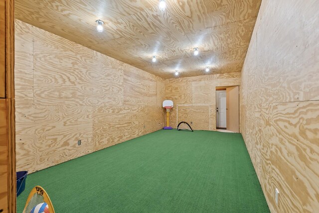 1595 River Shore Dr, Hastings, MN 55033 - rec room featuring carpet floors