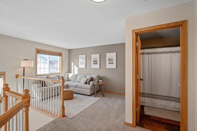 12828 43rd St NE, Saint Michael, MN 55376 - living room with carpet flooring, a textured ceiling, and baseboards