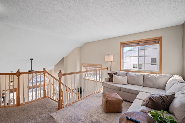 12828 43rd St NE, Saint Michael, MN 55376 - living room featuring carpet flooring, a textured ceiling, and vaulted ceiling