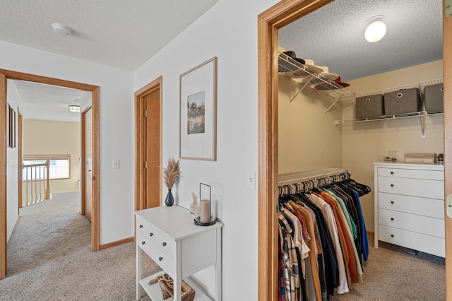 12828 43rd St NE, Saint Michael, MN 55376 - walk in closet featuring light carpet