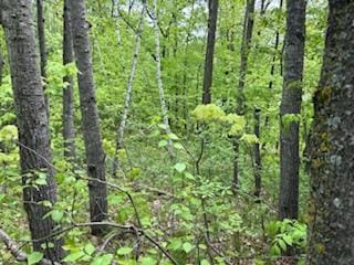 LOTS5-10 Mid Iron, Garrison, MN 56450