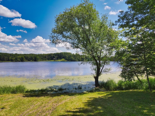 20931 Bayview Dr, Trade Lake, WI 54840