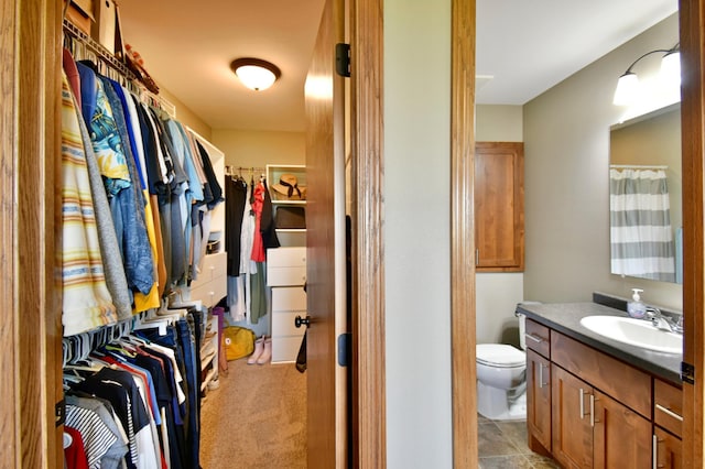 1756 34th St NE, Sauk Rapids, MN 56379 - walk in closet with a sink and light colored carpet