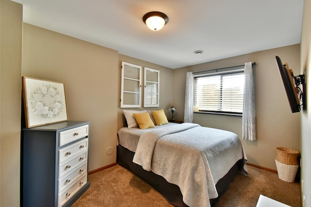 1756 34th St NE, Sauk Rapids, MN 56379 - bedroom with carpet flooring and baseboards