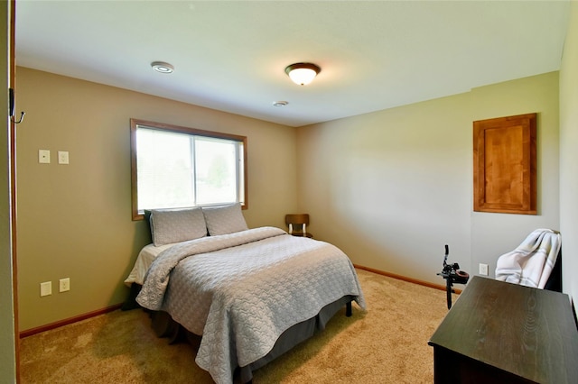1756 34th St NE, Sauk Rapids, MN 56379 - bedroom featuring carpet floors and baseboards