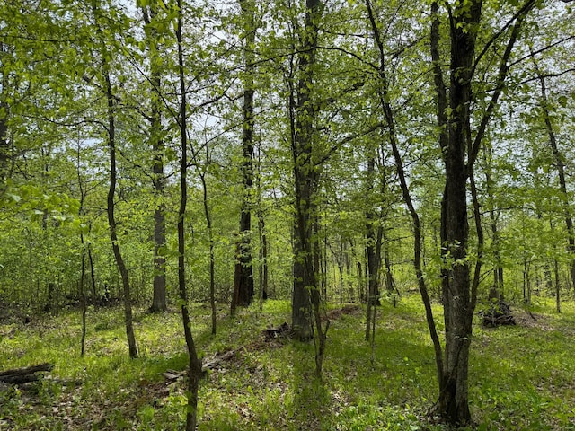 9270 Howling Wolf Dr NE, Turtle River Twp, MN 56601 - photo 2