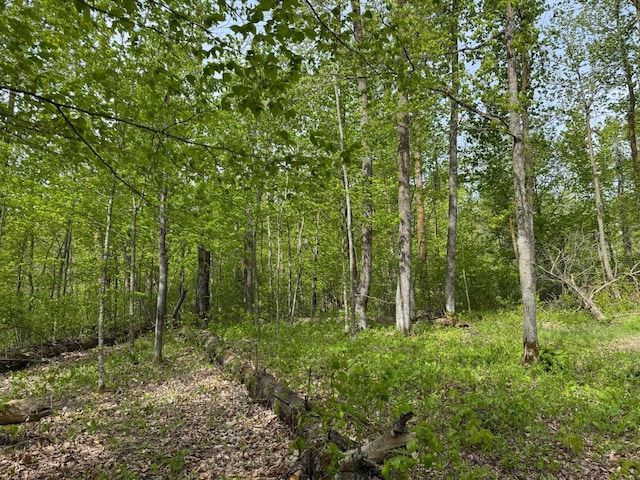 9270 Howling Wolf Dr NE, Turtle River Twp, MN 56601 - photo 5