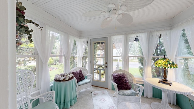 402 Main St, Racine, MN 55967 - sunroom / solarium featuring plenty of natural light and carpet floors