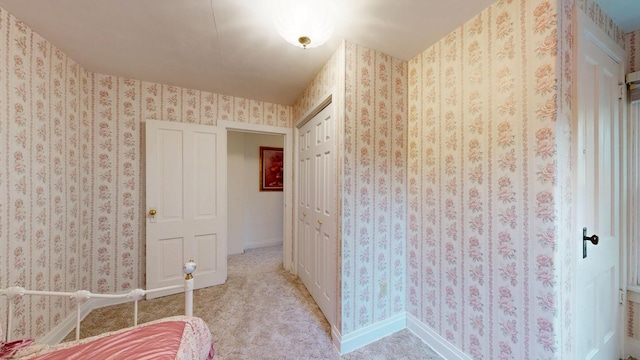 402 Main St, Racine, MN 55967 - unfurnished bedroom with a closet, baseboards, and carpet flooring