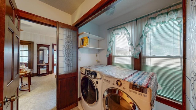 402 Main St, Racine, MN 55967 - laundry area featuring washing machine and dryer and light carpet