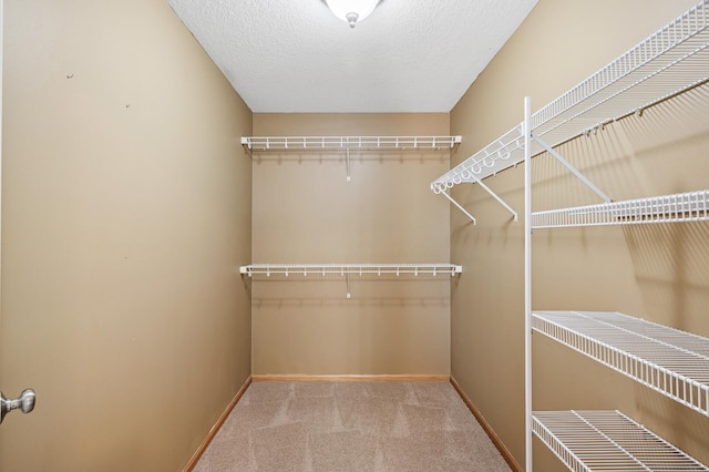 1498 Fox Meadow Dr, Delano, MN 55328 - spacious closet featuring carpet floors