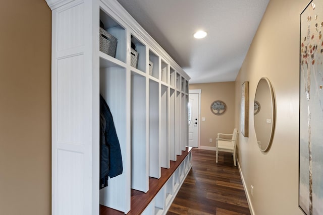 6339 140th Ave SE, Clear Lake, MN 55319 - mudroom featuring dark wood-style flooring and baseboards