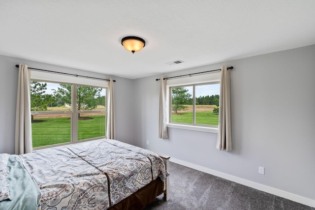 6339 140th Ave SE, Clear Lake, MN 55319 - bedroom with multiple windows and carpet floors