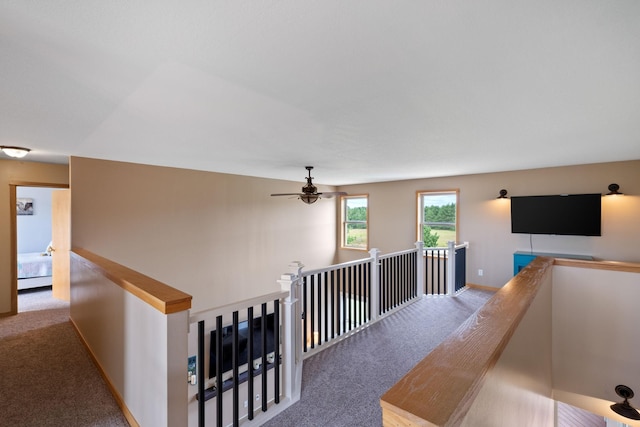 6339 140th Ave SE, Clear Lake, MN 55319 - corridor featuring an upstairs landing and carpet floors