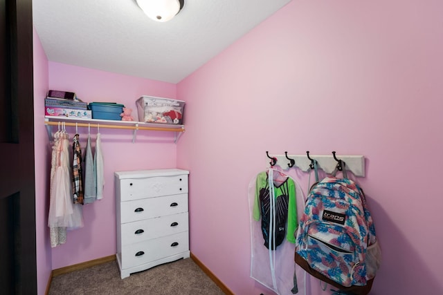 6339 140th Ave SE, Clear Lake, MN 55319 - walk in closet with carpet flooring and vaulted ceiling