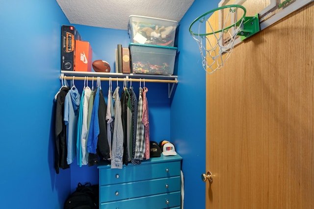 6339 140th Ave SE, Clear Lake, MN 55319 - view of spacious closet