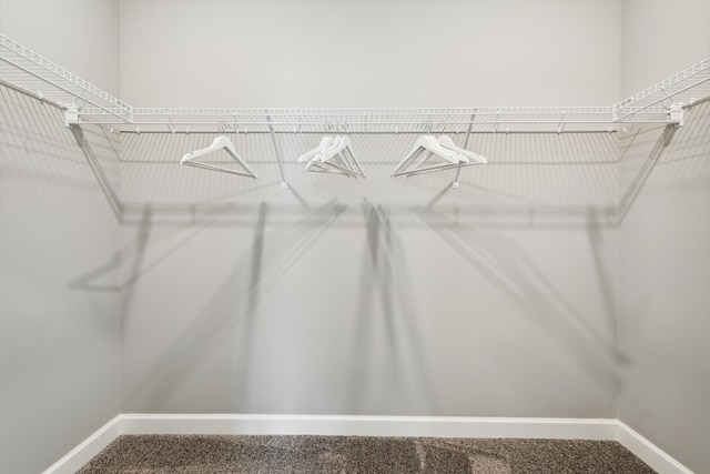 7665 Swan St, Lino Lakes, MN 55038 - walk in closet featuring carpet floors