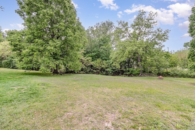 3514 Douglas Dr N, Crystal, MN 55422 - view of green lawn
