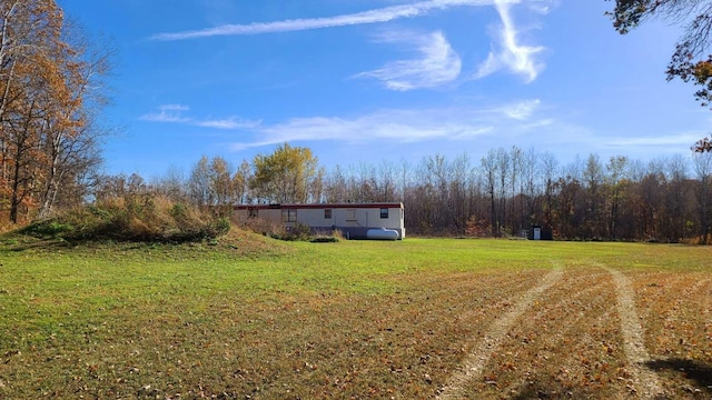 22088 380th Ave, Richardson Twp, MN 56338 - view of grassy yard with a forest view