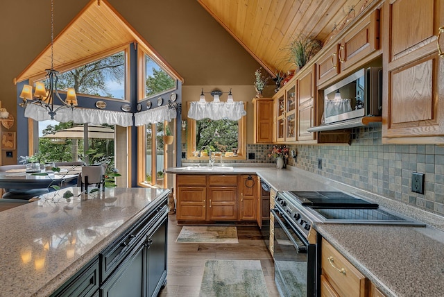 72959 235th St, Dassel, MN 55325 - kitchen featuring black / electric stove, stainless steel microwave, wood ceiling, a chandelier, and wood finished floors