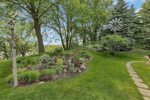 72959 235th St, Dassel, MN 55325 - view of green lawn