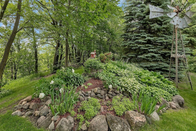 72959 235th St, Dassel, MN 55325 - view of yard