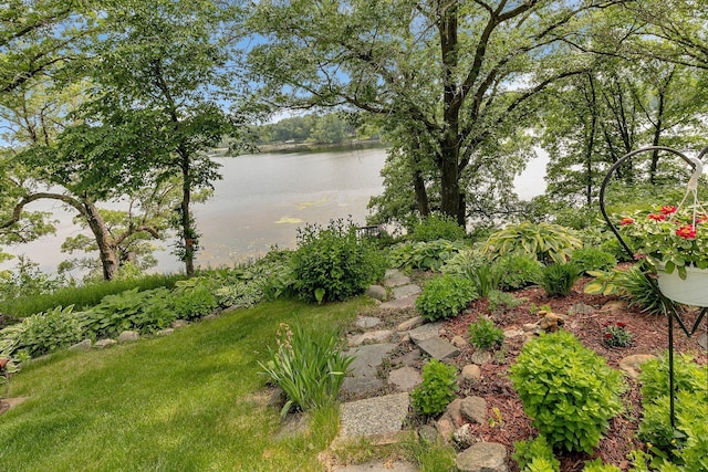 72959 235th St, Dassel, MN 55325 - view of yard featuring a water view