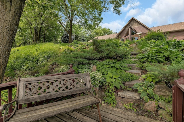 72959 235th St, Dassel, MN 55325 - view of wooden deck