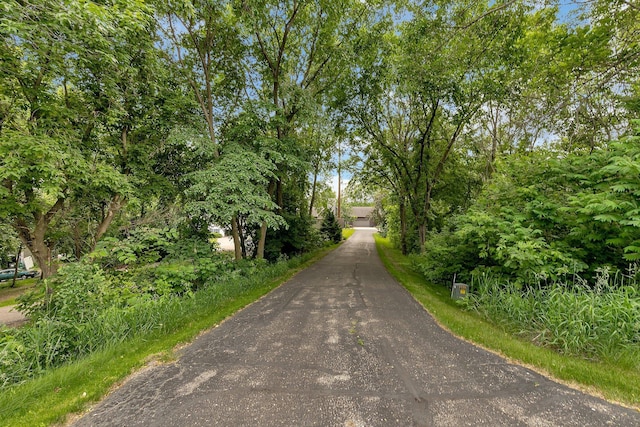 72959 235th St, Dassel, MN 55325 - view of asphalt driveway
