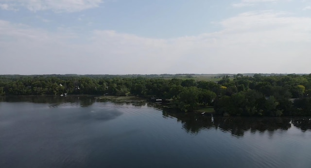 72959 235th St, Dassel, MN 55325 - water view featuring a forest