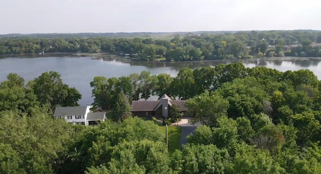 72959 235th St, Dassel, MN 55325 - drone / aerial view of a large body of water