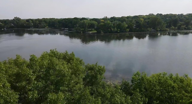 72959 235th St, Dassel, MN 55325 - water view featuring a forest