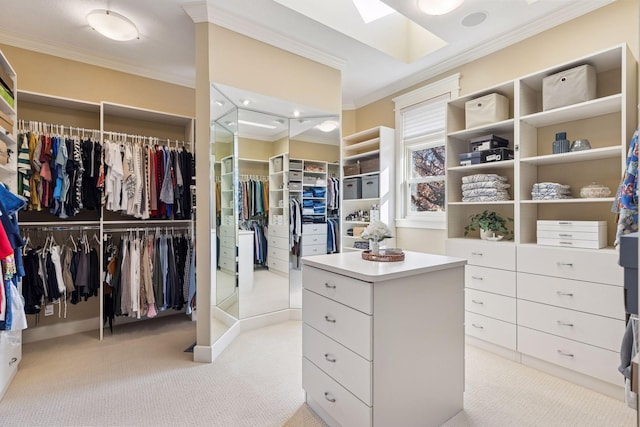 12159 Quail Avenue Ln N, Stillwater, MN 55082 - walk in closet with light colored carpet