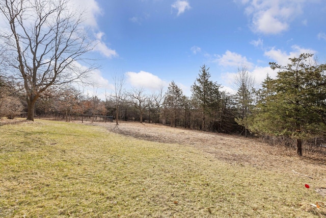 12159 Quail Avenue Ln N, Stillwater, MN 55082 - view of yard
