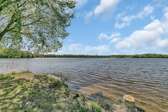 19663 County Road 9 NE, New London Twp, MN 56273 - water view