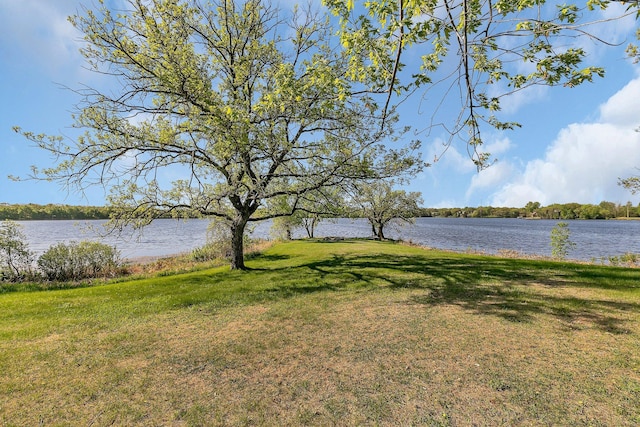19663 County Road 9 NE, New London Twp, MN 56273 - water view