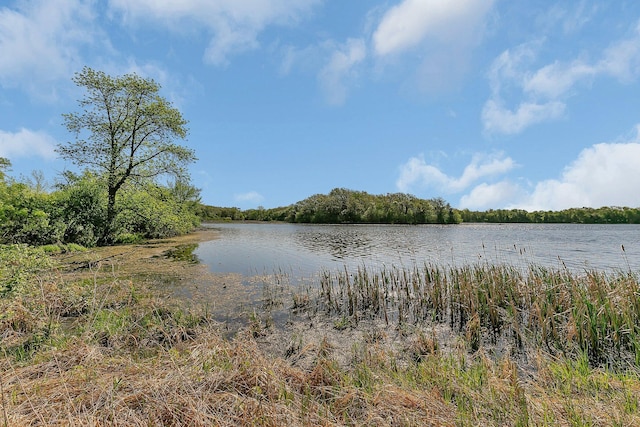 19663 County Road 9 NE, New London Twp, MN 56273 - water view with a heavily wooded area