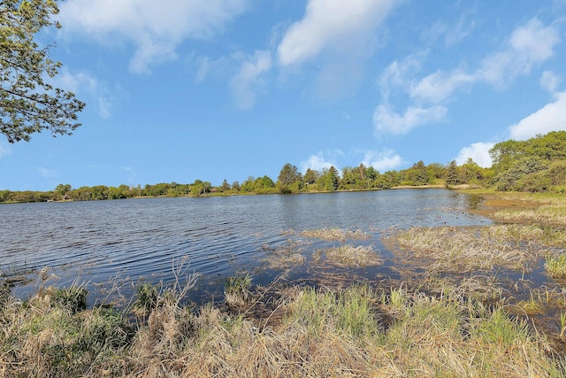 19663 County Road 9 NE, New London Twp, MN 56273 - water view
