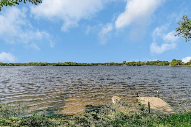 19663 County Road 9 NE, New London Twp, MN 56273 - water view
