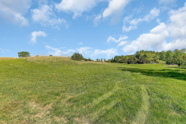 19663 County Road 9 NE, New London Twp, MN 56273 - view of undeveloped land featuring rural landscape