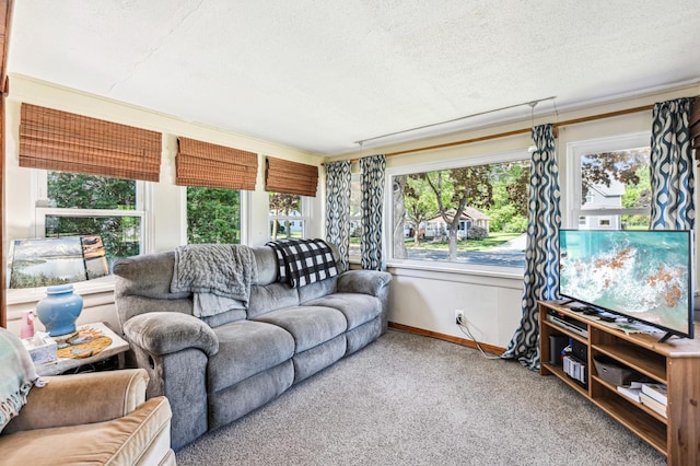 926 Bellows St, West Saint Paul, MN 55118 - carpeted living area featuring healthy amount of natural light, a textured ceiling, and baseboards