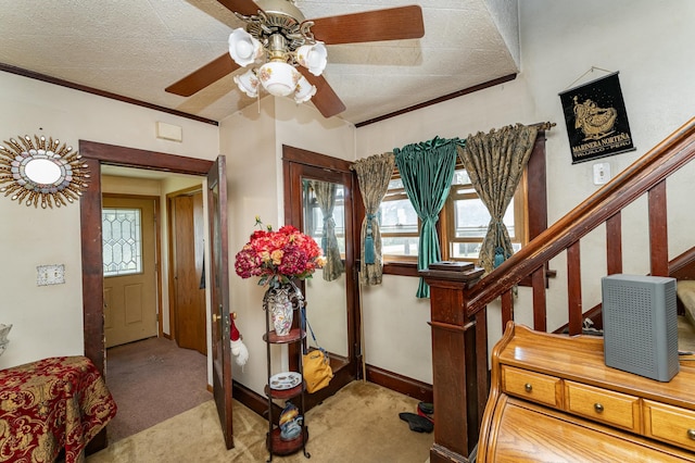 339 Cherry St E, Mazeppa, MN 55956 - carpeted foyer entrance with ceiling fan, plenty of natural light, and stairway