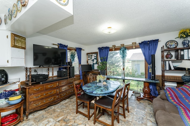 339 Cherry St E, Mazeppa, MN 55956 - dining area featuring a textured ceiling and stone finish flooring