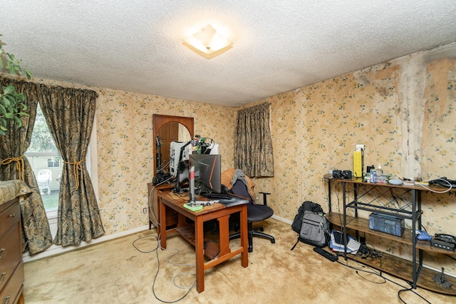 339 Cherry St E, Mazeppa, MN 55956 - carpeted home office featuring a textured ceiling, baseboards, and wallpapered walls