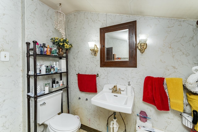 339 Cherry St E, Mazeppa, MN 55956 - half bath featuring a sink, toilet, and lofted ceiling
