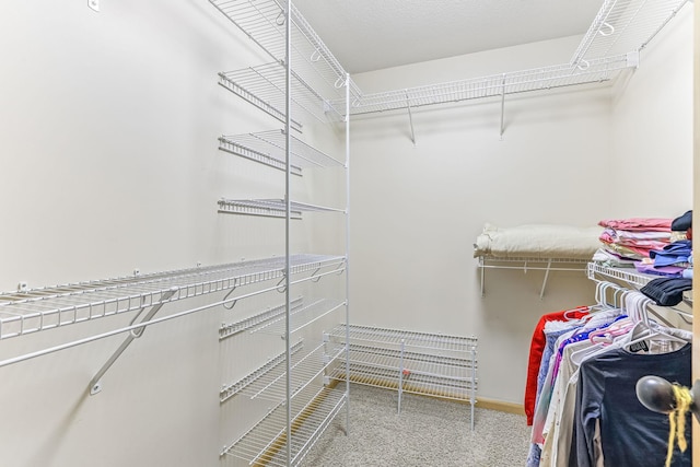 4828 Mason Ave NE, Saint Michael, MN 55376 - view of spacious closet